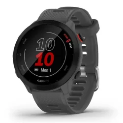 Smartwatch Forerunner 55/GREY 010-02562-13 Garmin