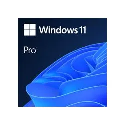 Sw Oem Ggk Win 11 Pro 64B/ENG 1PK 4YR-00316 Ms