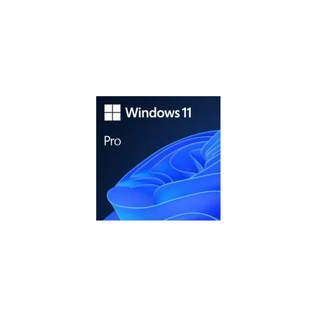 Sw Oem Ggk Win 11 Pro 64B/ENG 1PK 4YR-00316 Ms