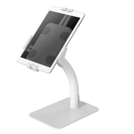 Tablet Acc Holder COUNTERTOP/DS15-625WH1 Neomounts